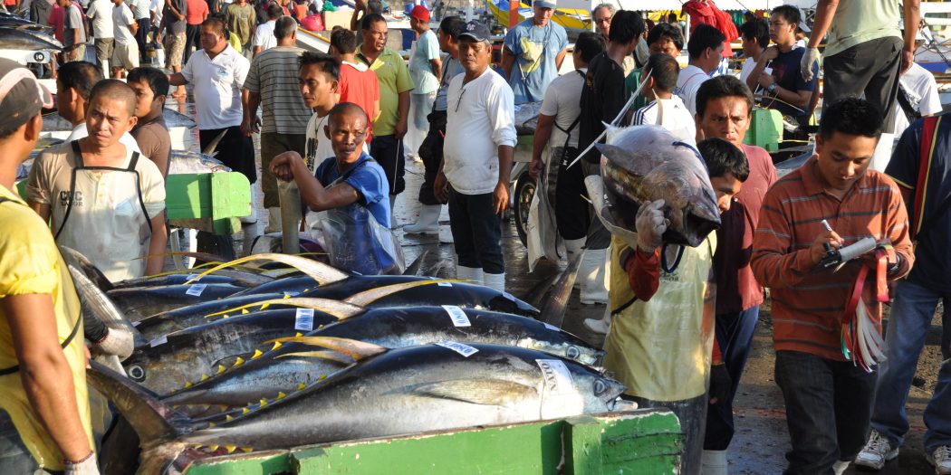 international-fish-trade-related-issues-seafdec